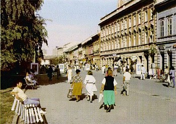 Downtown - Zmaj Jova St.